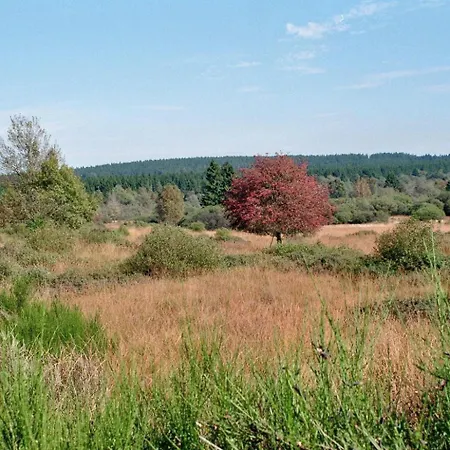 Sommerblick Appartement Montjoie