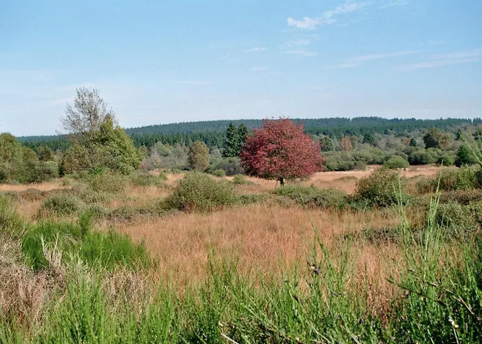 Sommerblick 公寓 蒙绍