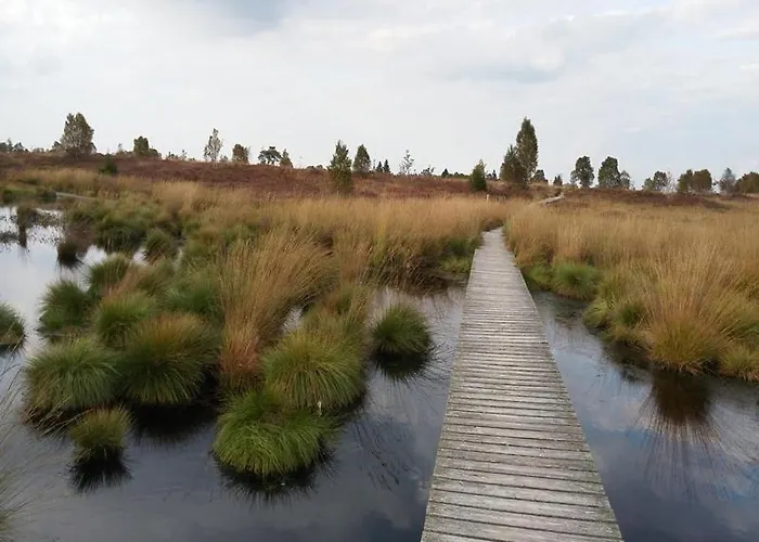 Sommerblick 公寓 *